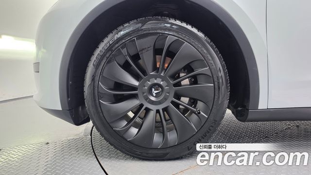 Tesla Model Y из Кореи Encar
