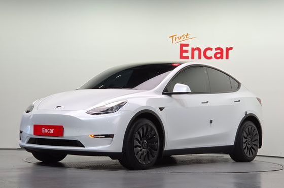 Tesla Model Y Long Range AWD — пробег 109 444 км — фото 1 из 5