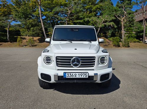 Mercedes-Benz G-Class G450d — пробег 2 600 км — фото 1 из 5