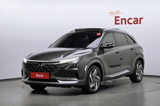Hyundai Nexo Premium — пробег 35 404 км — фото 1 из 5