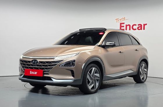 Hyundai Nexo Premium — пробег 55 785 км — фото 1 из 5