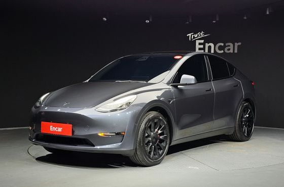 Tesla Model Y Standard Range RWD — пробег 119 791 км — фото 1 из 5