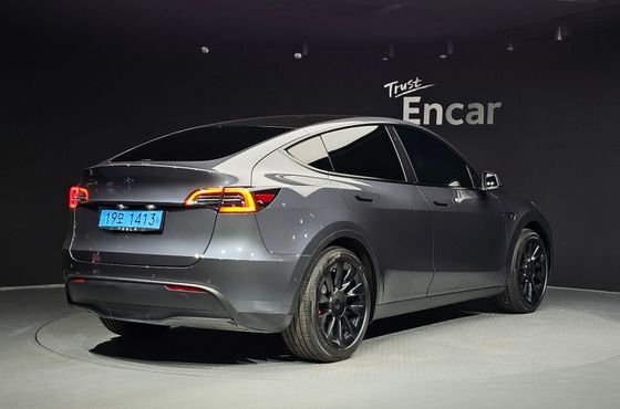 Tesla Model Y Standard Range RWD — пробег 119 791 км — фото 2 из 5
