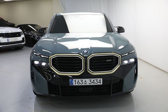 BMW XM 4.4 — пробег 69 364 км — фото 1 из 5