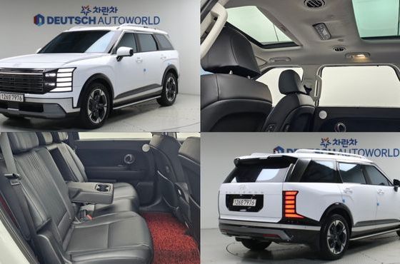 Hyundai Palisade Gasoline 2.5T 2WD 9-Seater Prestige — пробег 40 124 км — фото 1 из 5