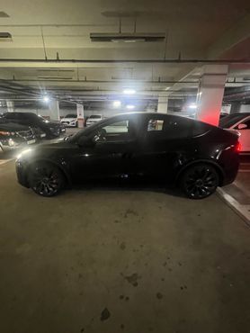 Tesla Model Y Performance AWD — пробег 7 728 км — фото 2 из 5