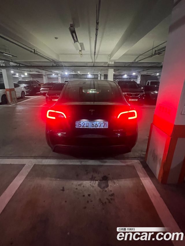 Tesla Model Y из Кореи Encar
