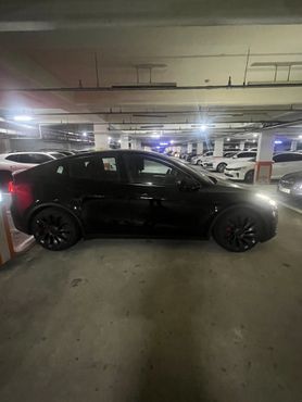 Tesla Model Y Performance AWD — пробег 7 728 км — фото 4 из 5