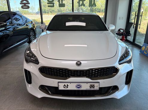 Kia Stinger 2.0 Turbo 2WD Platinum — пробег 71 549 км — фото 1 из 5