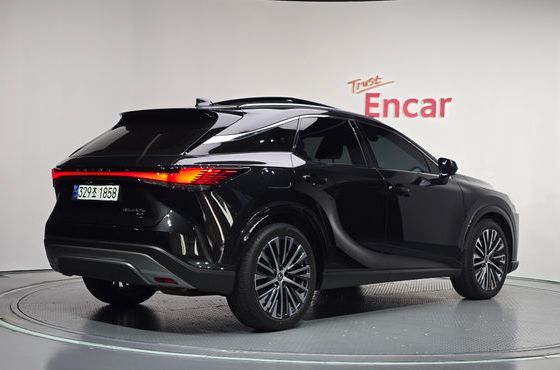 Lexus RX Luxury — пробег 31 160 км — фото 2 из 5