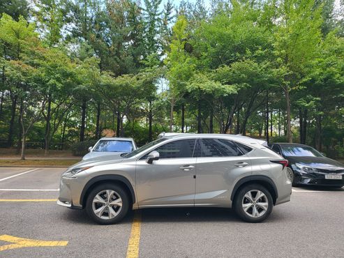 Lexus NX Executive — пробег 147 485 км — фото 3 из 5