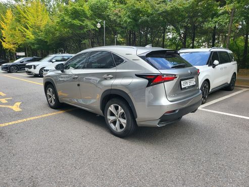 Lexus NX Executive — пробег 147 485 км — фото 4 из 5