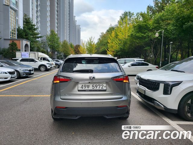 Lexus NX Executive — пробег 147 485 км — фото 5 из 5