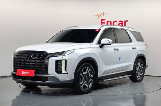 Hyundai Palisade Diesel 2.2 4WD Le Blanc — пробег 111 600 км — фото 1 из 5