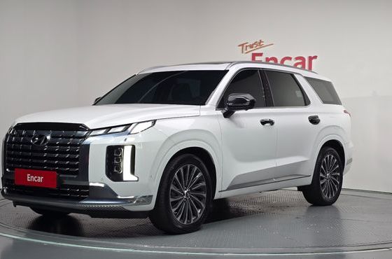 Hyundai Palisade Gasoline 3.8 4WD Calligraphy — пробег 31 501 км — фото 1 из 5