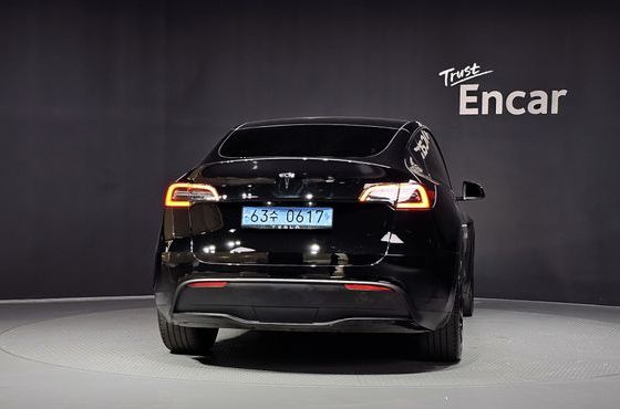 Tesla Model Y Long Range AWD — пробег 20 583 км — фото 4 из 5