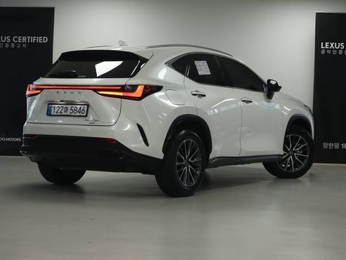 Lexus NX Premium — пробег 11 841 км — фото 2 из 5