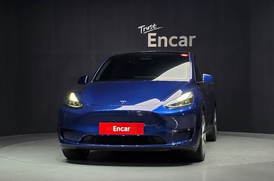 Tesla Model Y RWD — пробег 47 376 км — фото 3 из 5