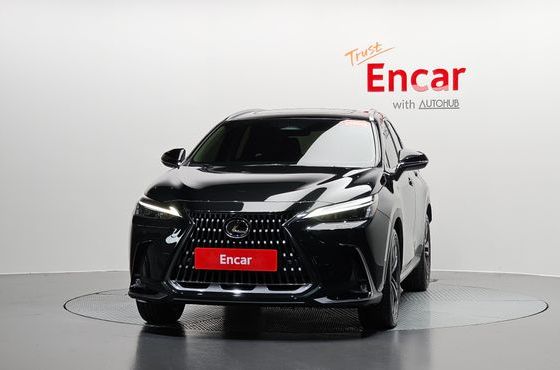 Lexus NX Premium — пробег 24 054 км — фото 3 из 5