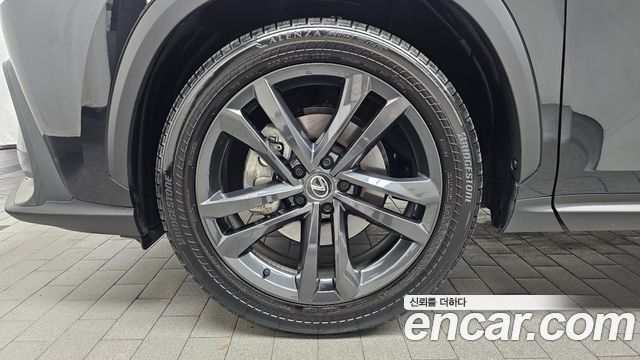 Lexus NX Premium — пробег 24 054 км — фото 5 из 5