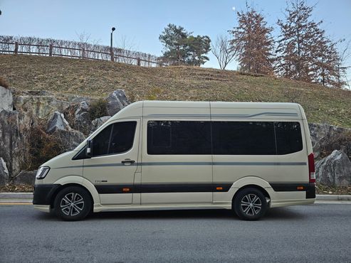 Hyundai Solati Limousine — пробег 53 509 км — фото 3 из 5