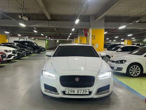 Jaguar XF 25t Portfolio — пробег 84 541 км — фото 1 из 5