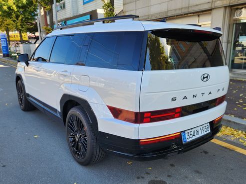 Hyundai Santafe HEV 1.6 2WD Calligraphy — пробег 700 км — фото 3 из 5