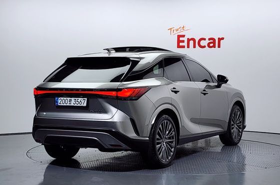 Lexus RX Luxury — пробег 29 938 км — фото 2 из 5