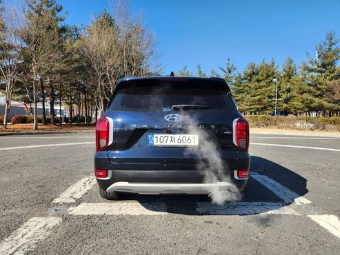 Hyundai Palisade Diesel 2.2 4WD Prestige — пробег 29 550 км — фото 4 из 5