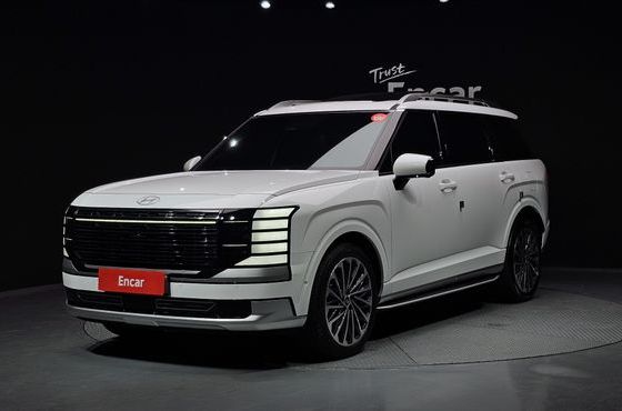 Hyundai Palisade Gasoline 2.5T 4WD 7-Seater Calligraphy — пробег 15 560 км — фото 1 из 5