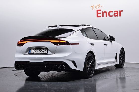Kia Stinger 2.5 AWD Masters ACRO EDITION — пробег 73 120 км — фото 2 из 5