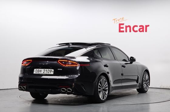 Kia Stinger 2.0 Turbo AWD Platinum — пробег 40 202 км — фото 2 из 5