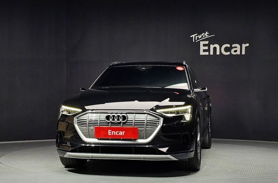 Audi e-tron 50 Quattro — пробег 41 004 км — фото 3 из 5