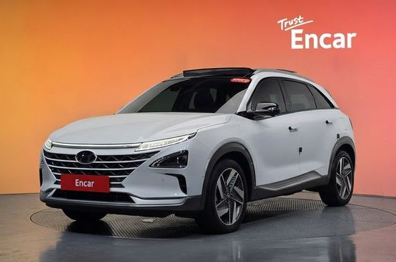 Hyundai Nexo Premium — пробег 64 106 км — фото 1 из 5