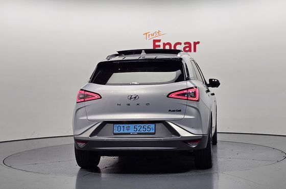Hyundai Nexo Premium — пробег 75 861 км — фото 4 из 5