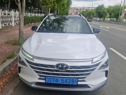 Hyundai Nexo Premium — пробег 158 191 км — фото 1 из 5