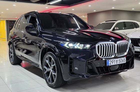 BMW X5 xDrive 40i M Sport — пробег 19 371 км — фото 3 из 5