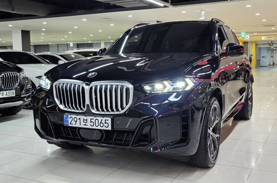 BMW X5 xDrive 40i M Sport — пробег 19 371 км — фото 4 из 5