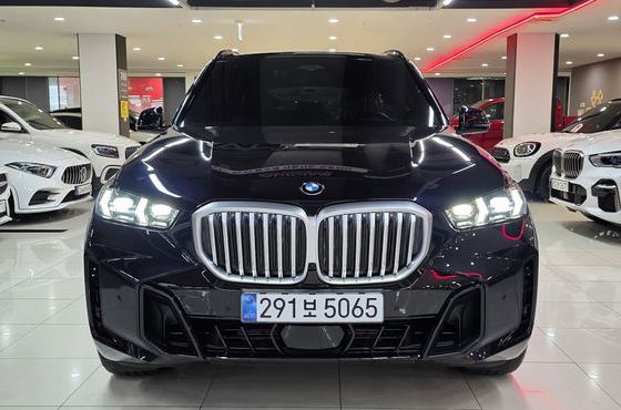 BMW X5 xDrive 40i M Sport — пробег 19 371 км — фото 5 из 5