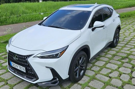 Lexus NX Premium — пробег 1 306 км — фото 2 из 5