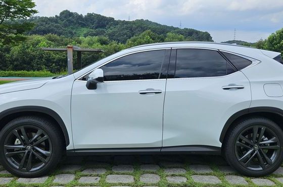Lexus NX Premium — пробег 1 306 км — фото 3 из 5