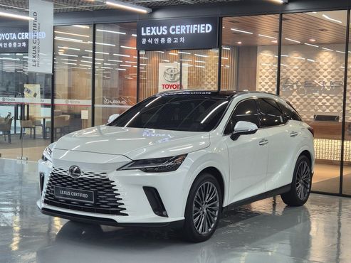 Lexus RX Luxury — пробег 12 568 км — фото 1 из 5