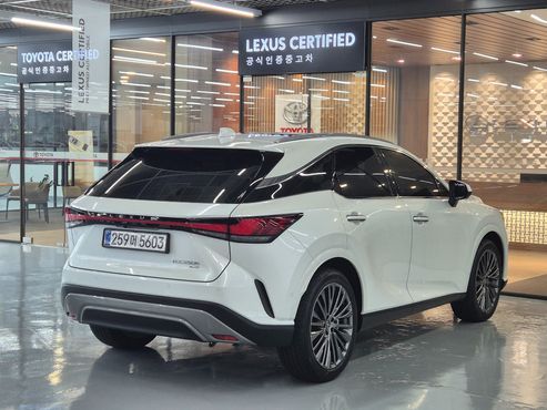 Lexus RX Luxury — пробег 12 568 км — фото 2 из 5