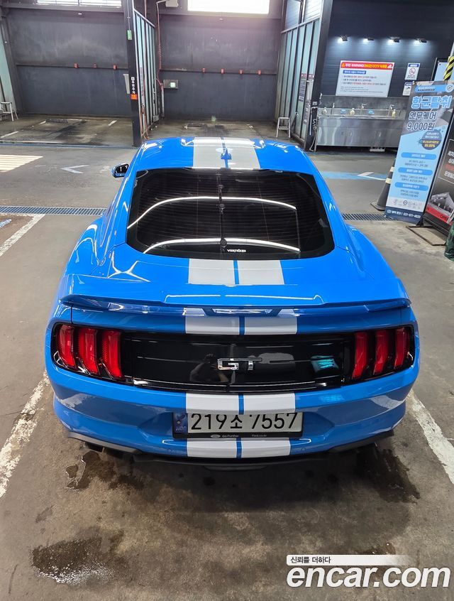 Ford Mustang GT Coupe — пробег 29 000 км — фото 4 из 5