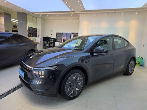 Tesla Model Y L Long Range AWD — пробег 800 км — фото 5 из 5