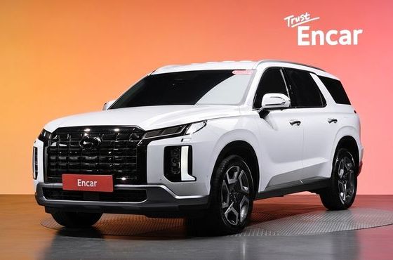 Hyundai Palisade Gasoline 3.8 2WD Le Blanc — пробег 42 527 км — фото 1 из 5