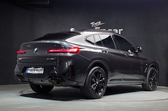 BMW X4 xDrive20i M Sport Pro Special Edition — пробег 19 878 км — фото 2 из 5