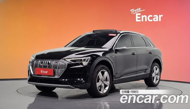 Audi e-tron 50 Quattro — пробег 120 166 км — фото 1 из 5