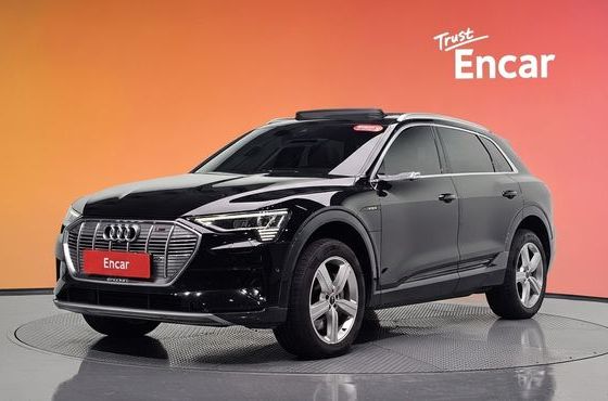 Audi e-tron 50 Quattro — пробег 120 166 км — фото 1 из 5