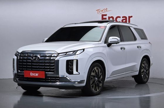 Hyundai Palisade Gasoline 3.8 4WD Calligraphy — пробег 105 516 км — фото 1 из 5